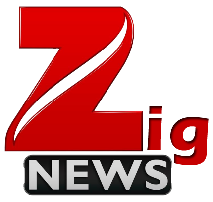 zigshizzle logo